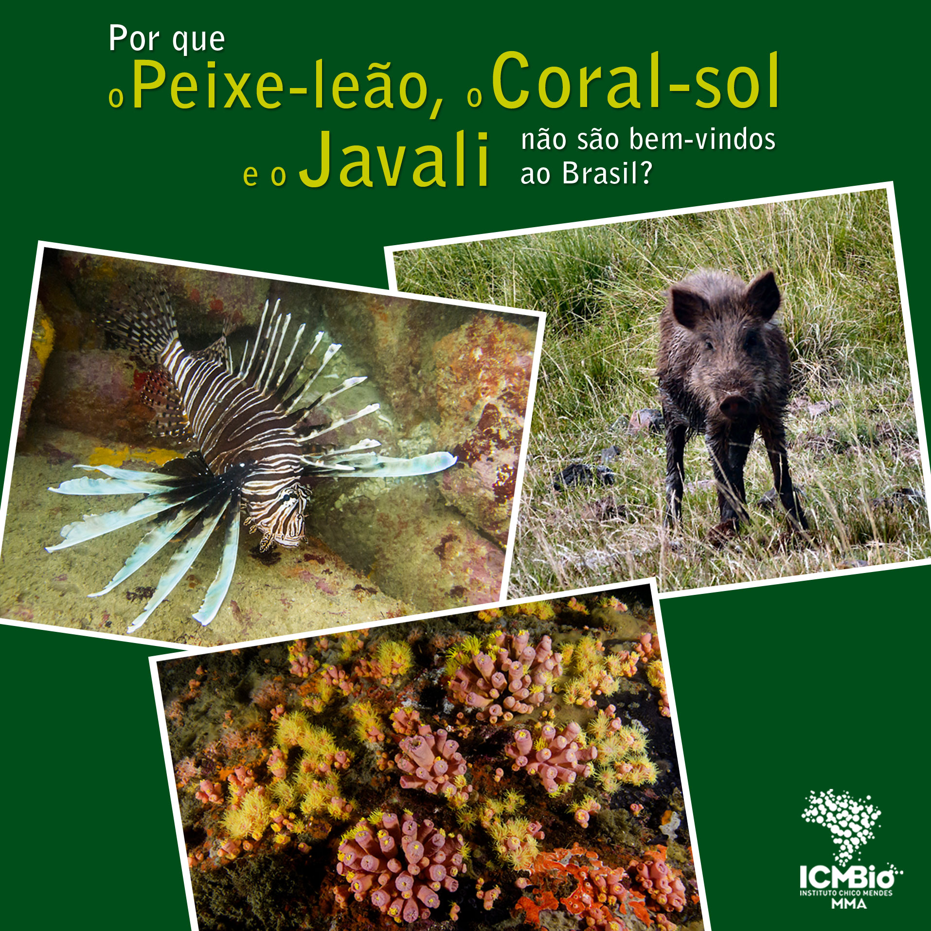  © Todos os direitos reservados. Fotos: Acervo ICMBio e Leo Francini