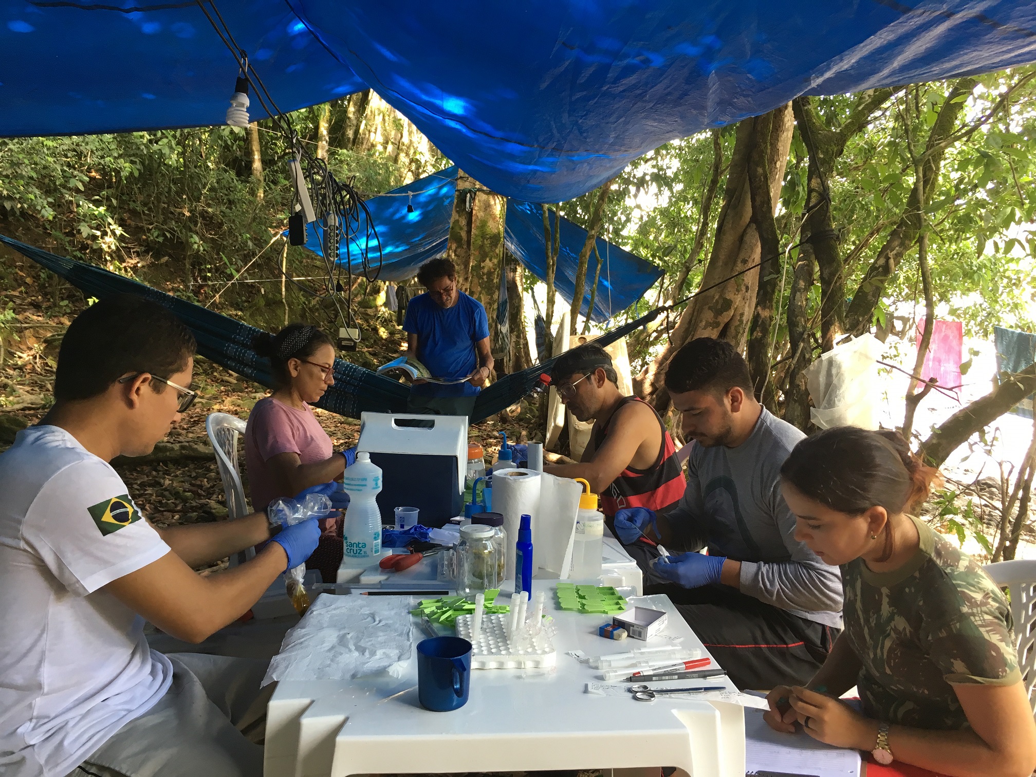 expedicaoFabiola Valdezz