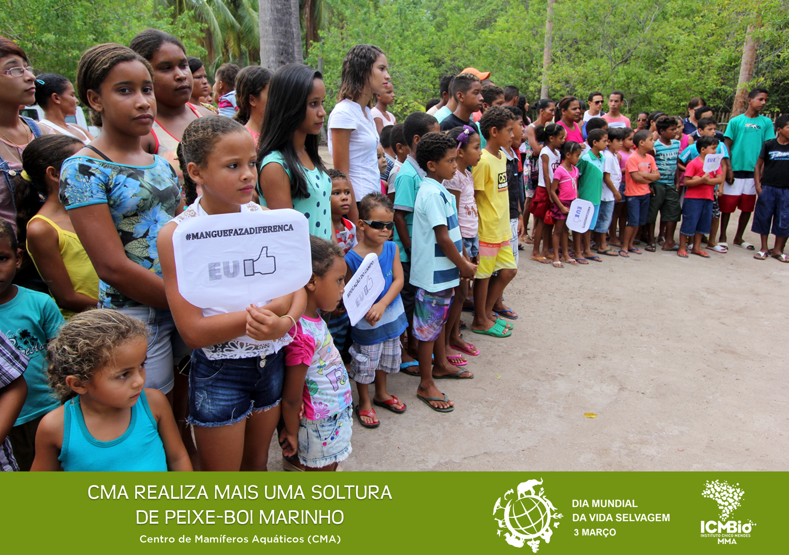 © Todos os direitos reservados. Fotos: João Freire