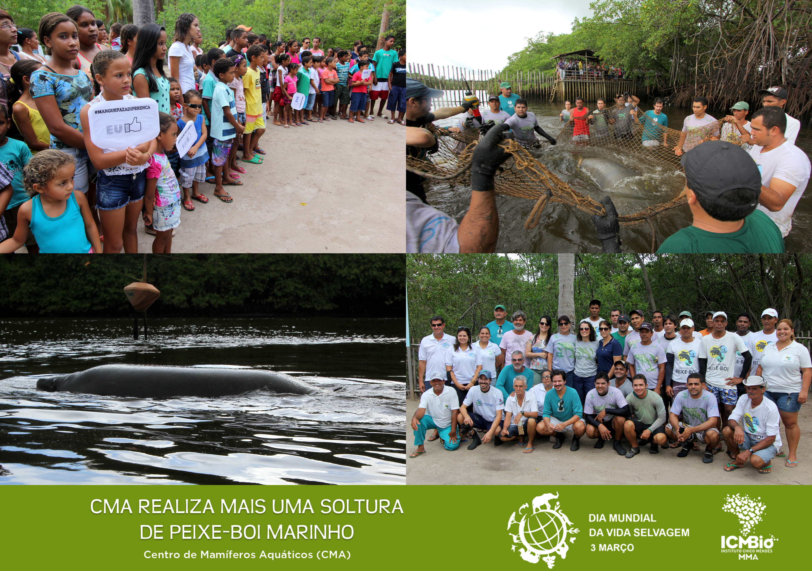 © Todos os direitos reservados. Fotos: João Freire