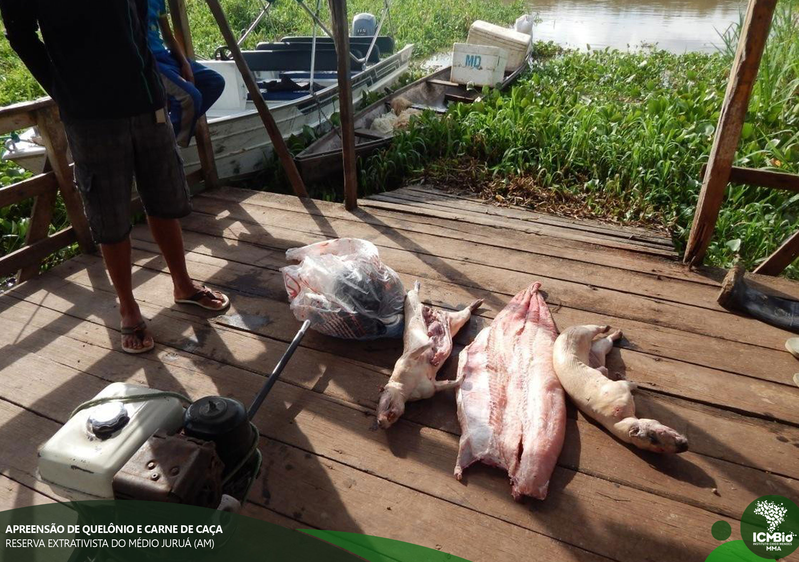 © Todos os direitos reservados. Foto: Acervo ICMBio