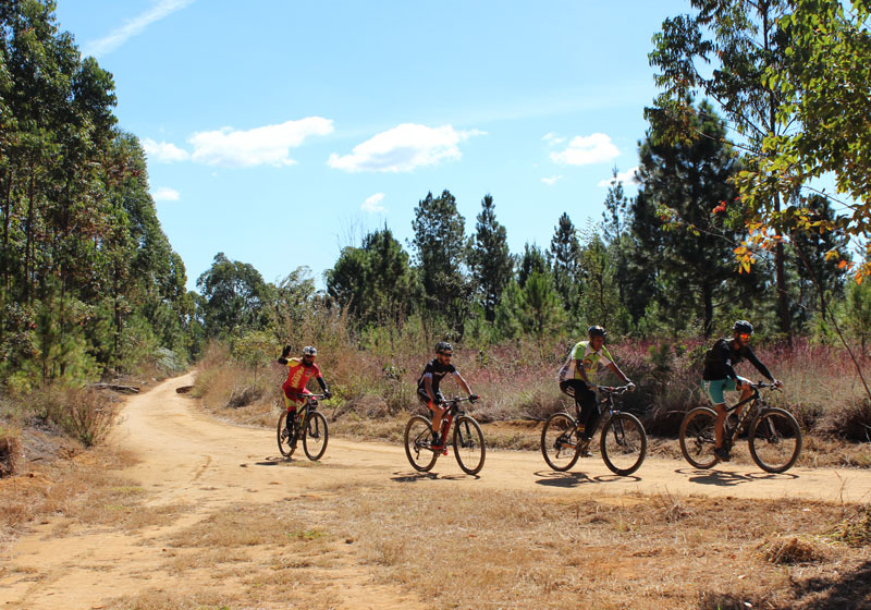 Flona Brasilia Acervo ICMBio