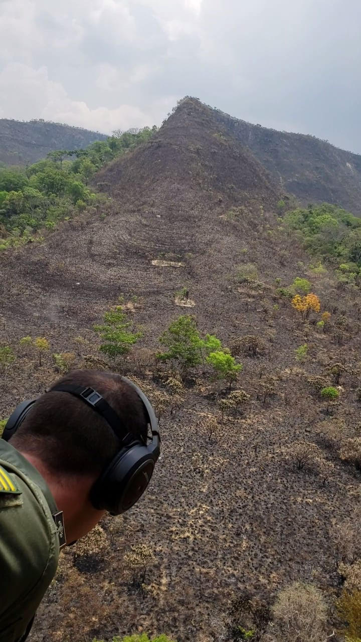fofochapada