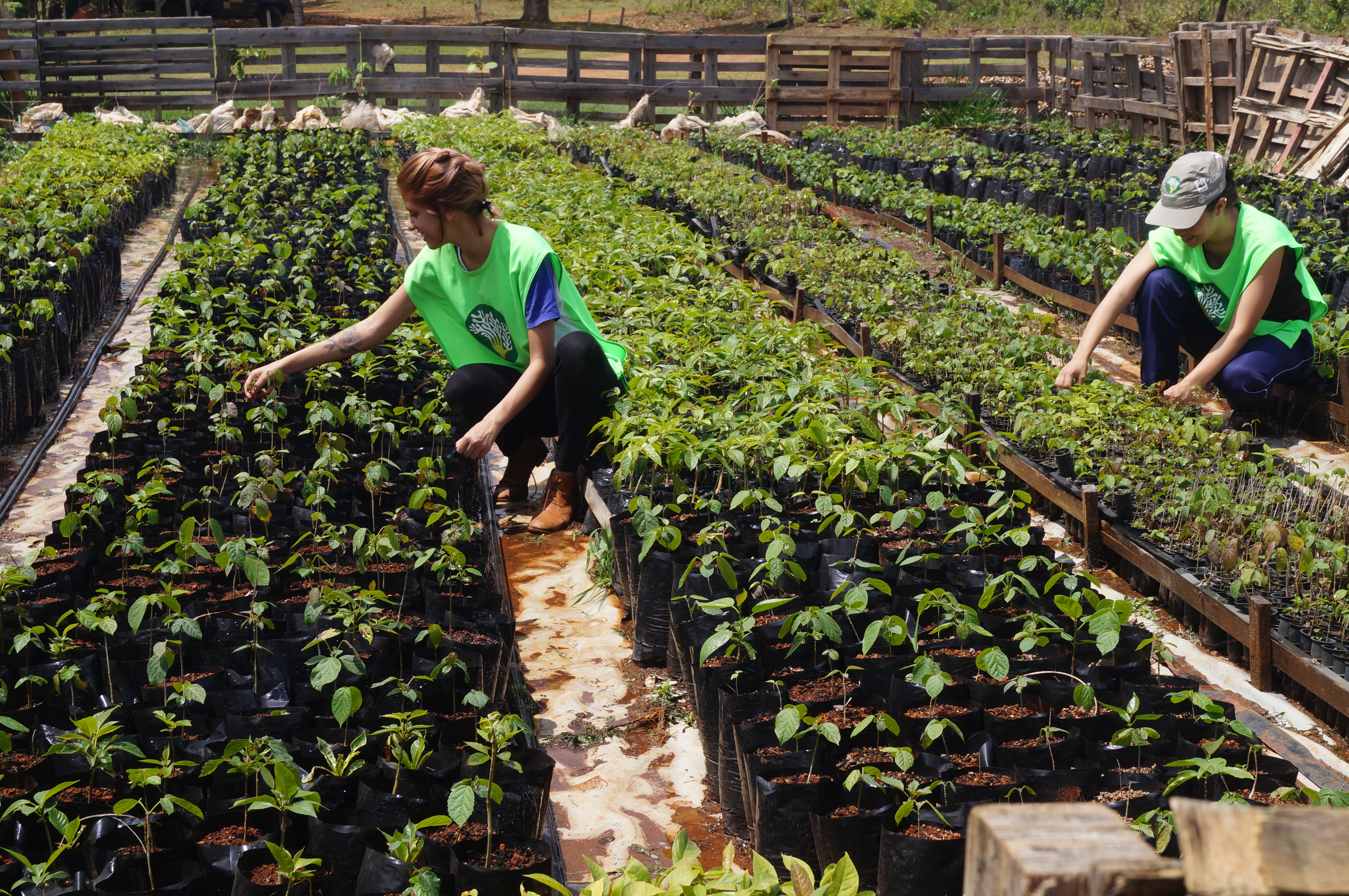 Foto: Ana Karolina de Souza Silva