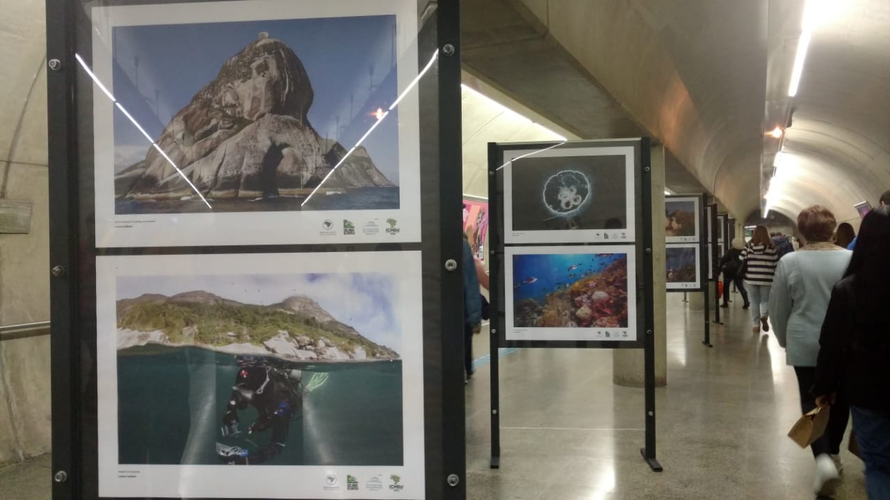 Foto Patricia Marques Ferreira