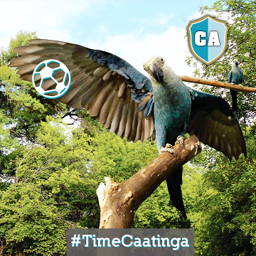 Foto time caatinga Foto Marcus Romero