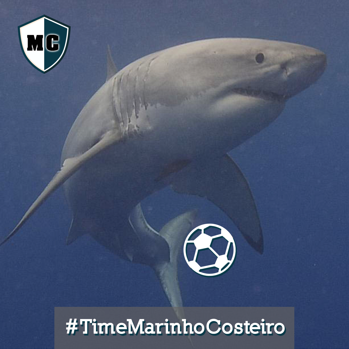 Foto time marinho Elias Levy