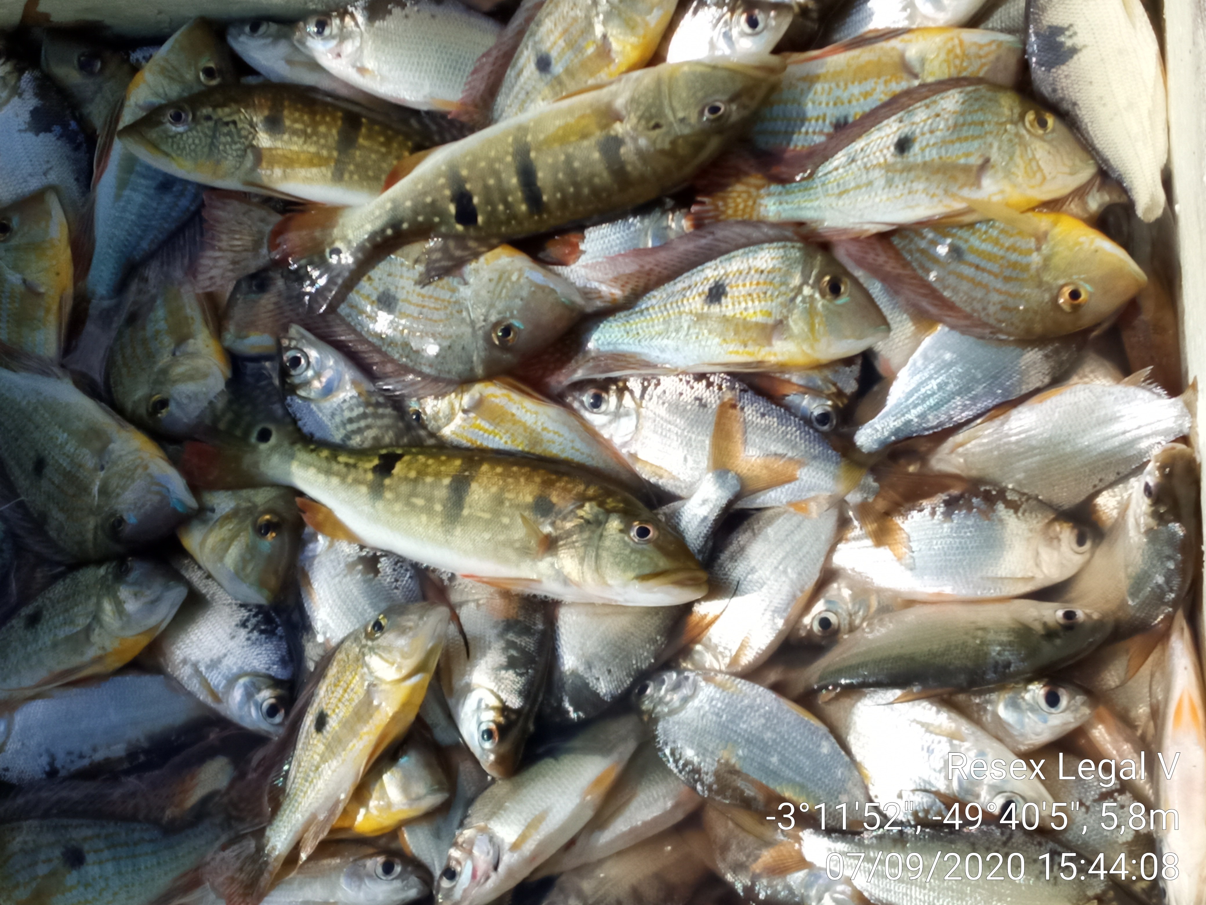 fotoRodrigoFigueiredo