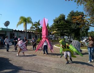 IMG 20180831 tartaruga de mamao 309x240