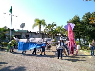 IMG 20180831 tartaruga de mamao2 320x240