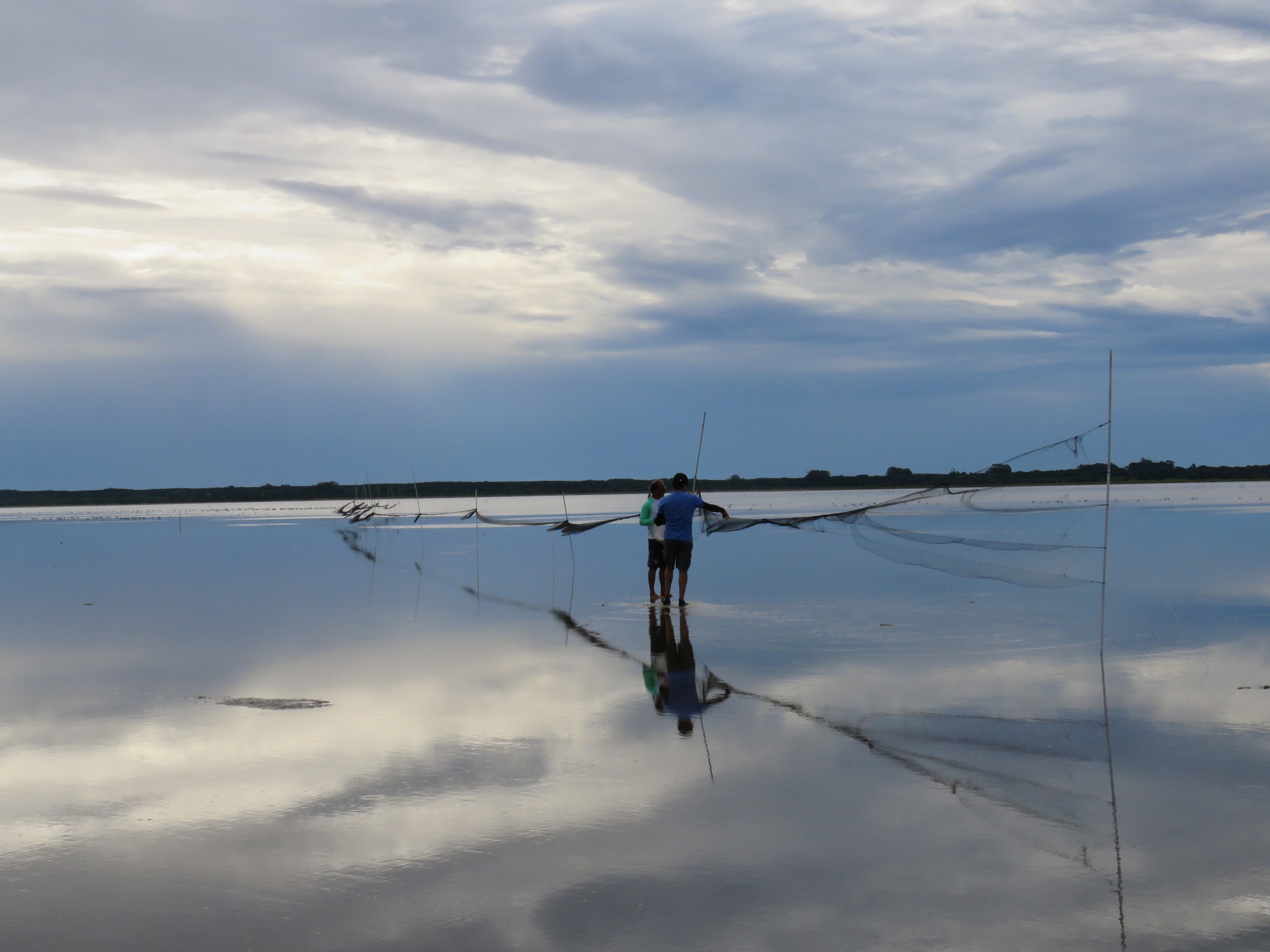 instalando redes de neblinaDanielle Paludo