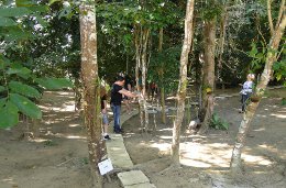 Mini trilha na Flona Goytacazes