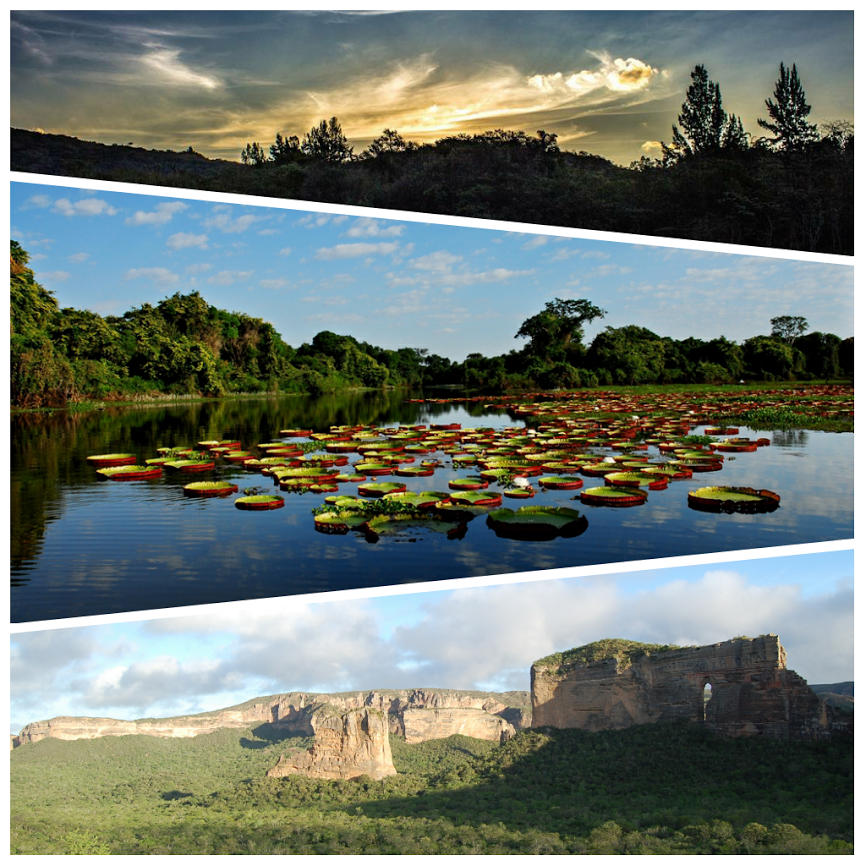 Fotos: Acervo ICMBio