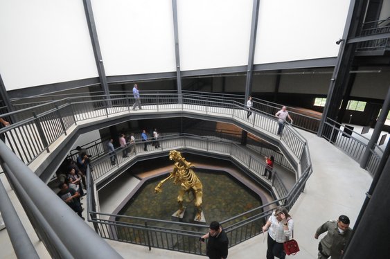 museu da natureza paulobarros