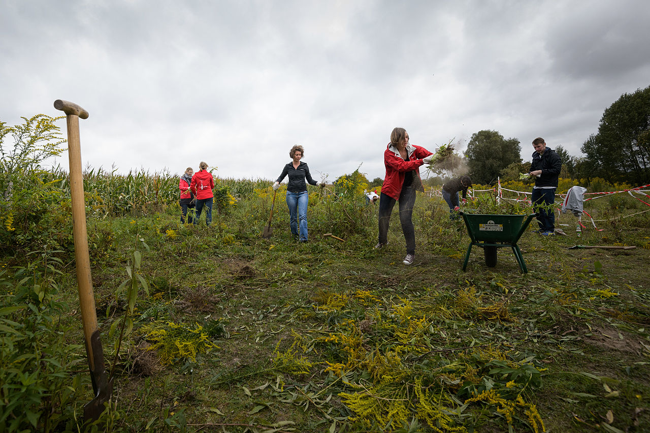 Nachhaltigkeitswoche 2014 Naturpark Barnim D4S1613