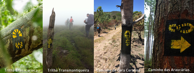 Padrão de sinalização. Fotos Marcello Cavalcanti e Acervo ICMBio