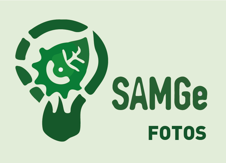 SAMGe FOTOS