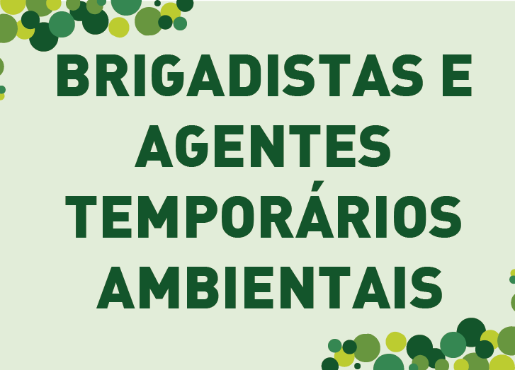 Brigadistas e Agentes Temporários Ambientais