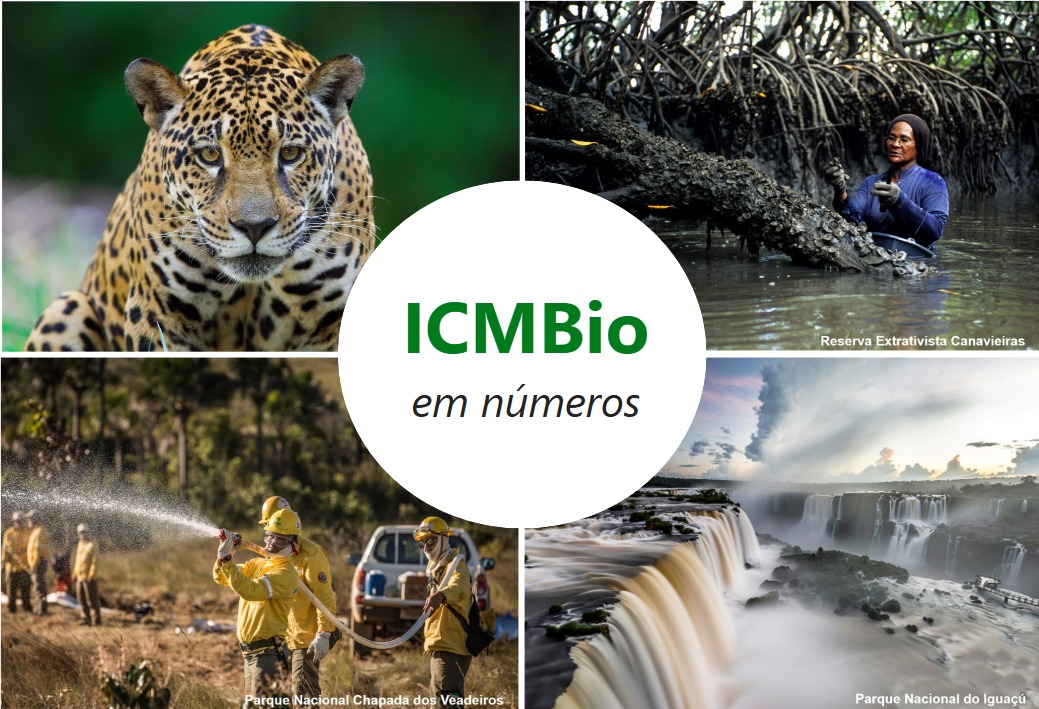 ICMBio em números