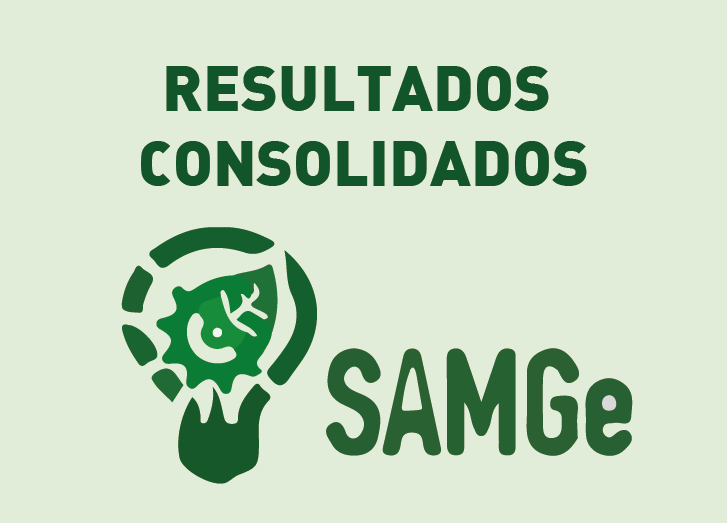 RESULTADOS CONSOLIDADOS