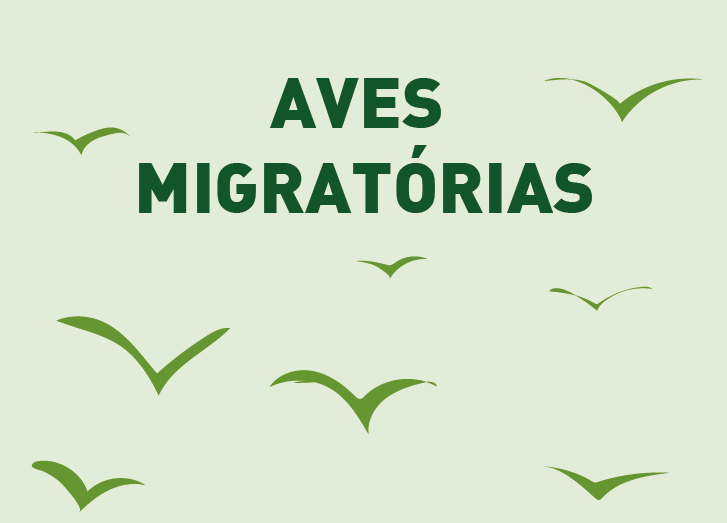 Aves Migratórias