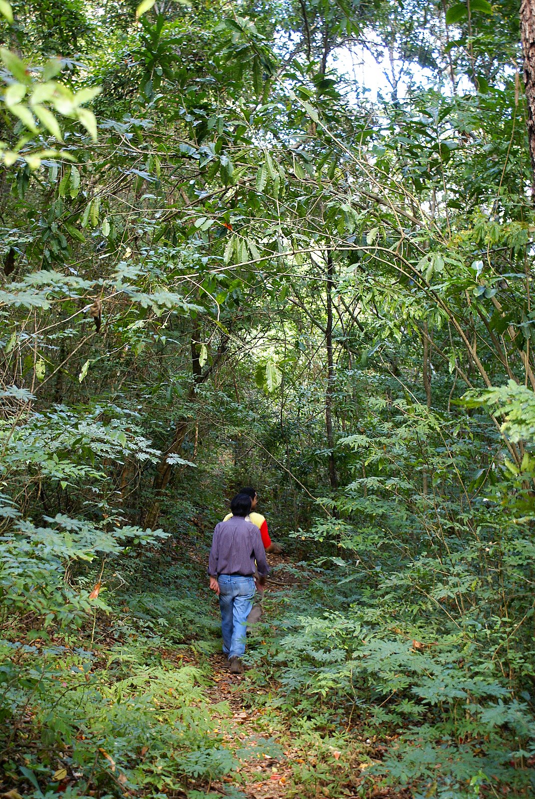 parna cavernasdoperuacu Acervo Parna Cavernas do Peruaçu