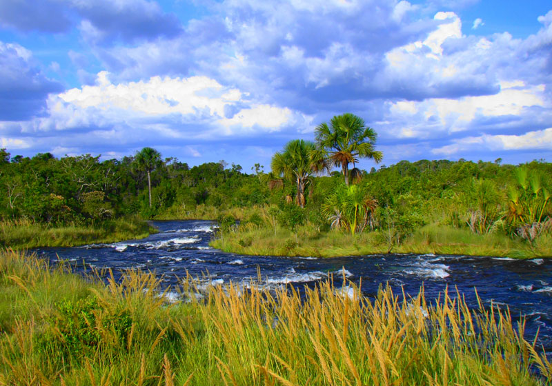 Parna Emas Ana Luiza Cunha
