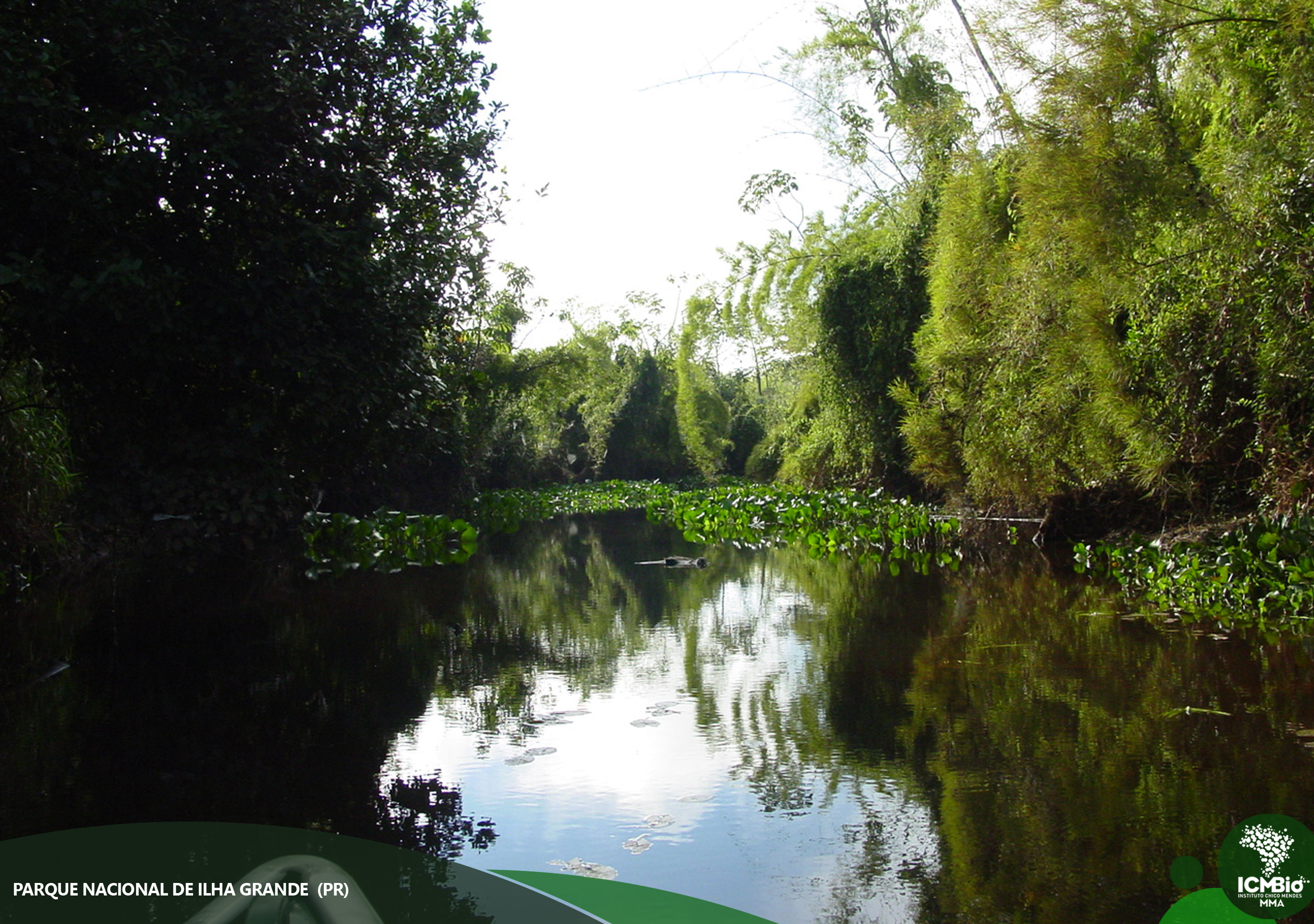  © Todos os direitos reservados. Foto: Acervo Parque Nacional Ilha Grande