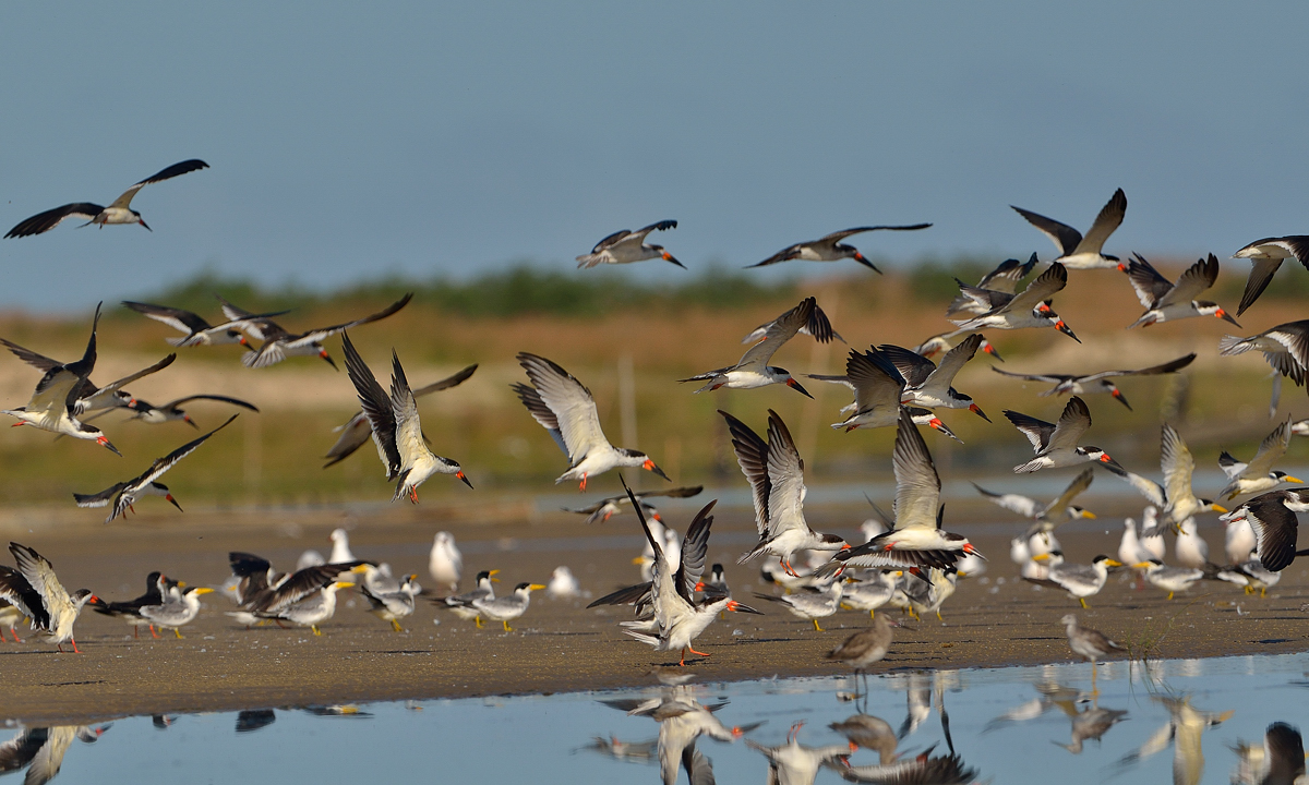 parna lagoadopeixe João Bastista Cardozo