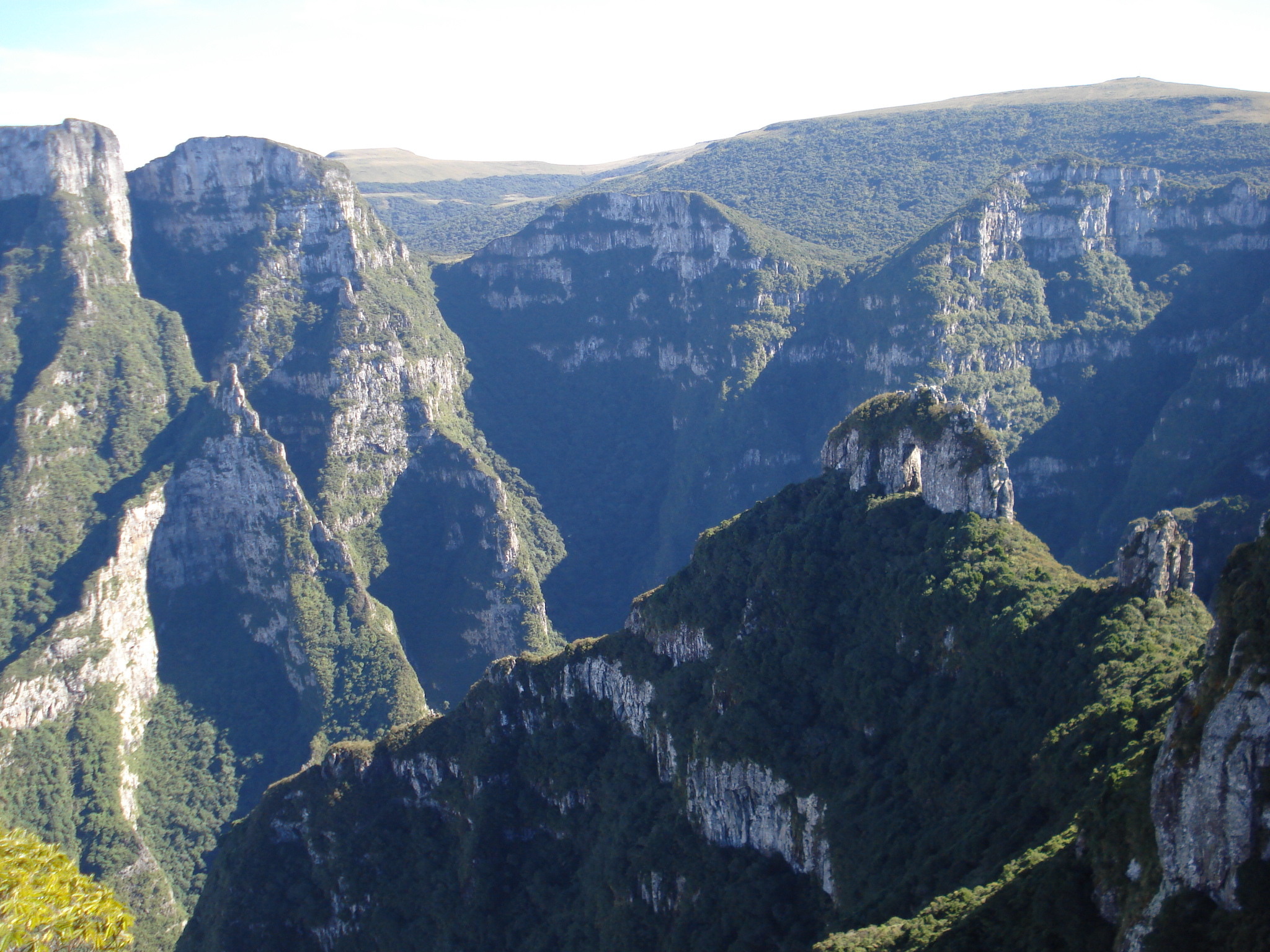 parna saojoaquim Acervo Parna de São Joaquim