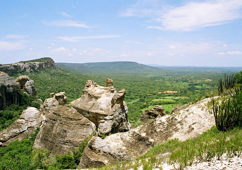 Parna Serra da Capivara Gabriela Fujita