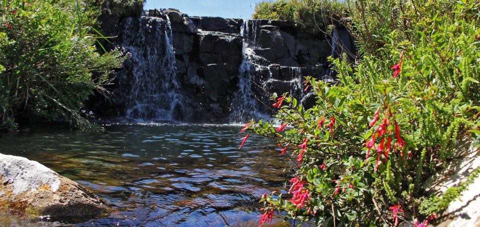 Parna SãoJoaquim AcervoParna Trekking nascente 2012