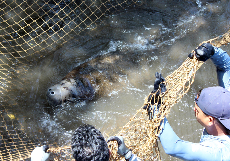 Após a soltura, Diogo será monitorado por GPS (Foto: Nana Brasil)