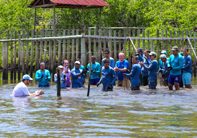 Equipe do Programa Peixe-Boi comemora a devolução de Diogo à natureza (Foto: Rafael Munhoz)