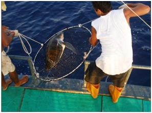 PESCADOR FAZENDO USO DASMEDIDAS MITIGADORAS