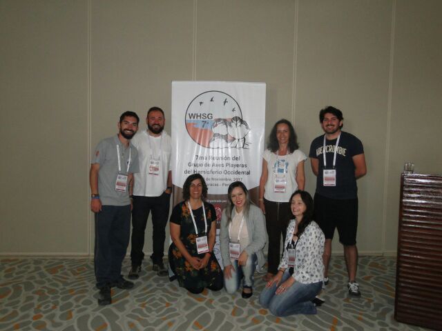 pesquisadores brasileiros 20177