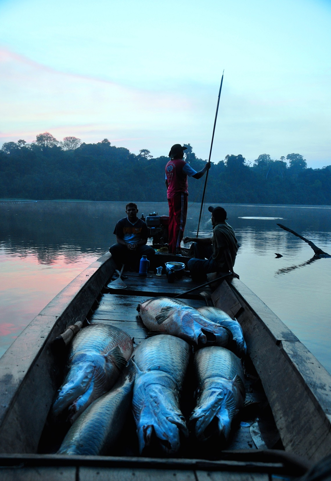 pira Leonardo Pacheco