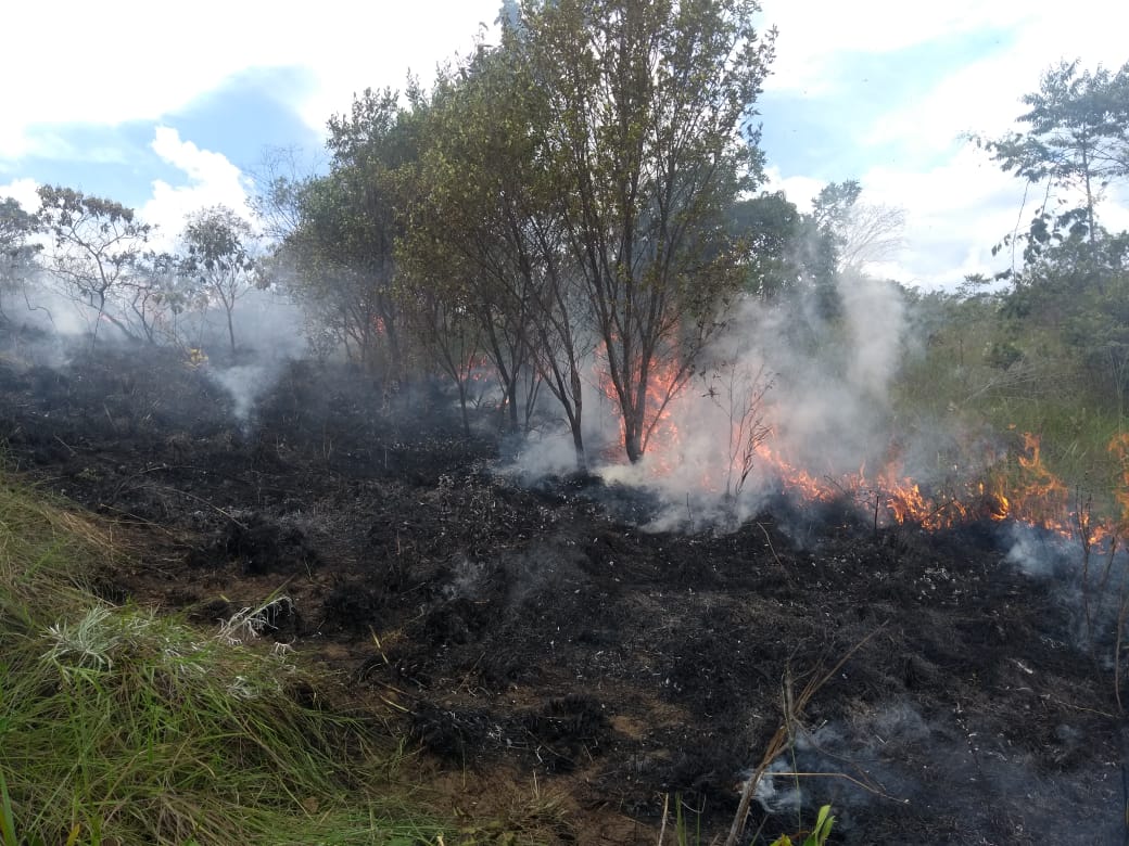 Confecção de aceiros estão entre as ações de prevenção a incêndios florestais (Foto: Rodrigo Amaral)