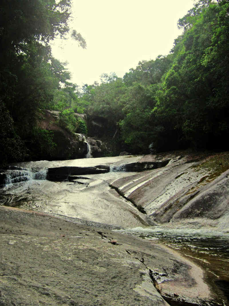 PNSHL Alexandre Hofart Arins jpg