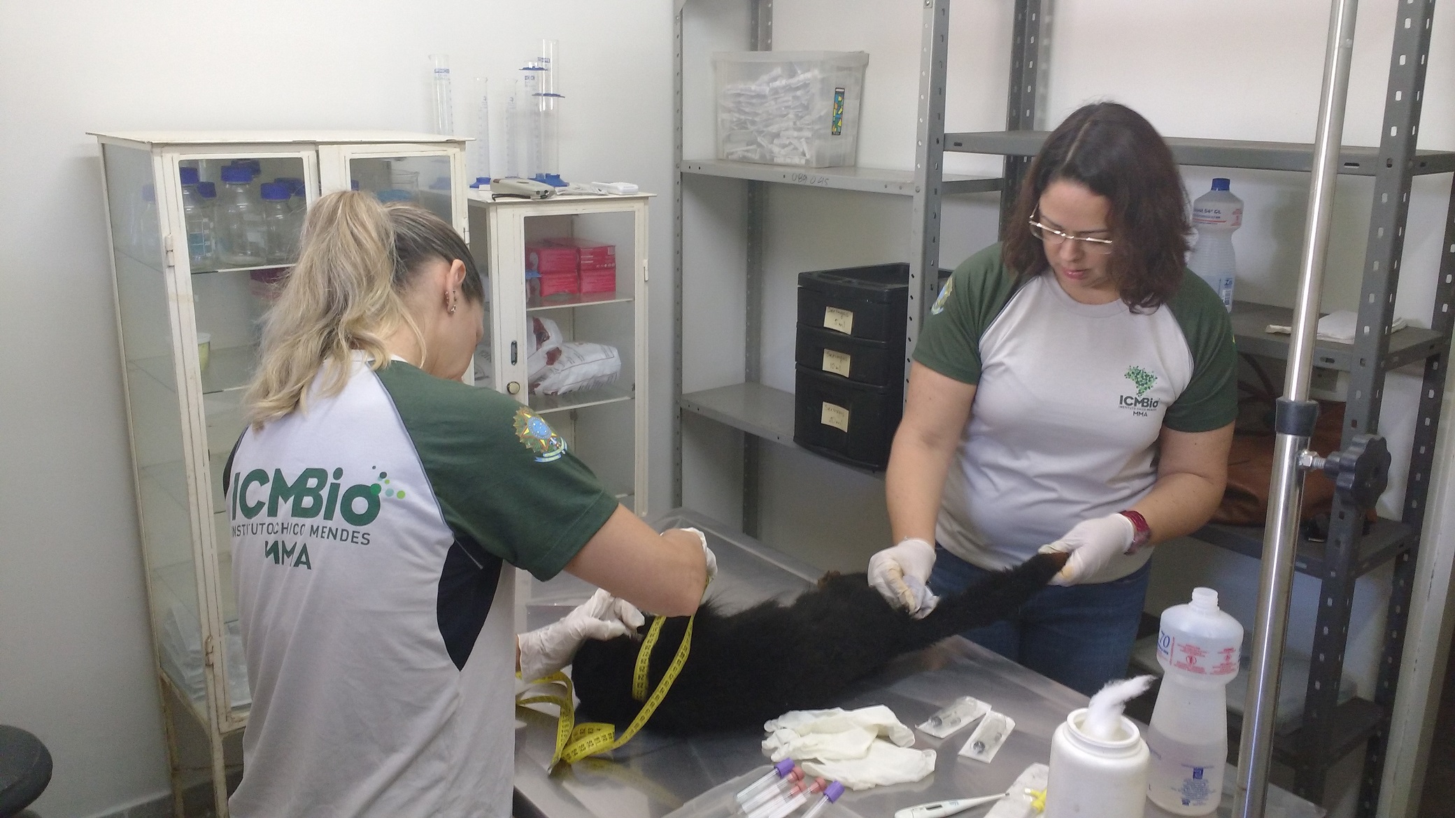 ProcessamentoguaribaGerson Busss