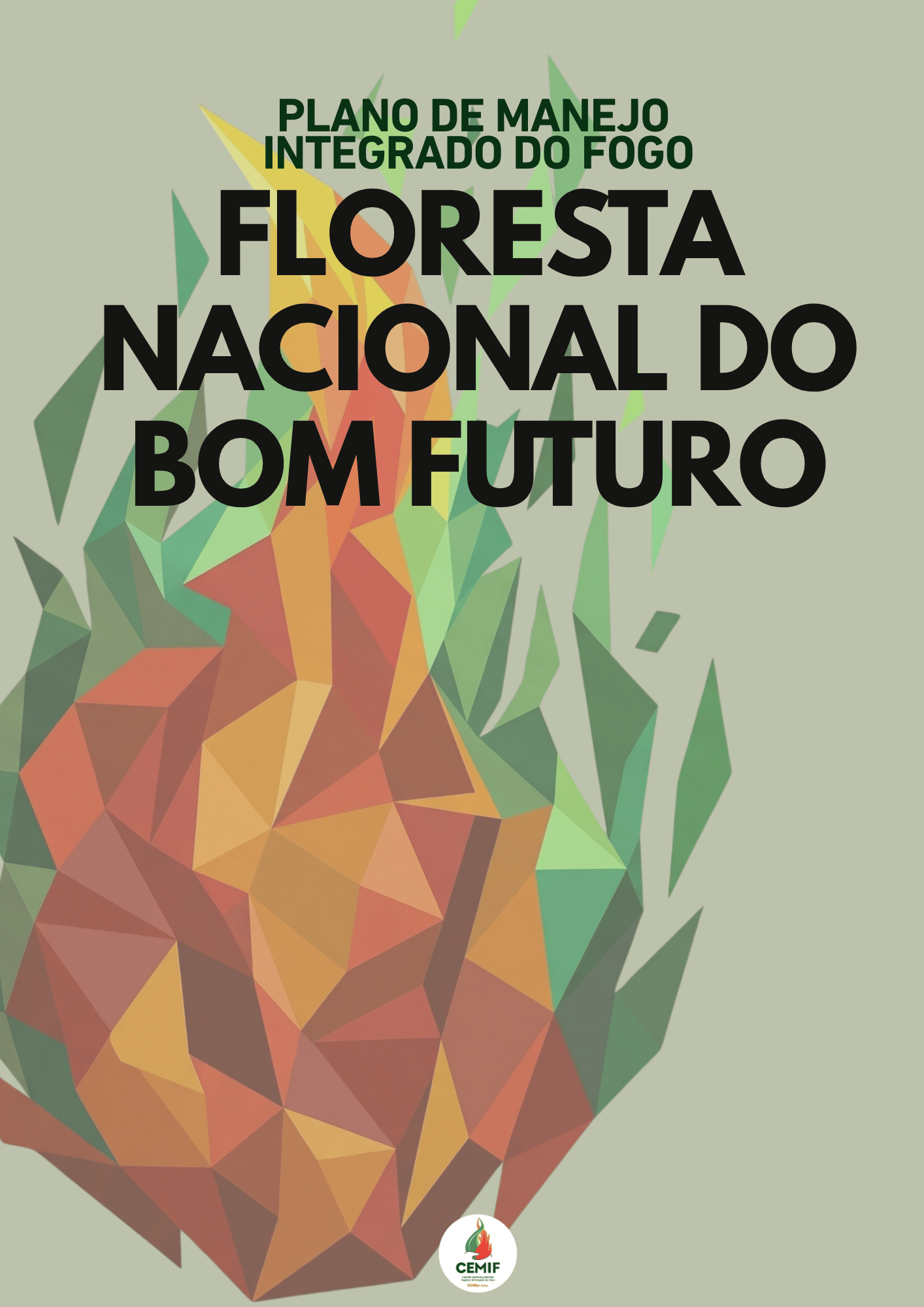 PMIF_FlonaBomFuturo