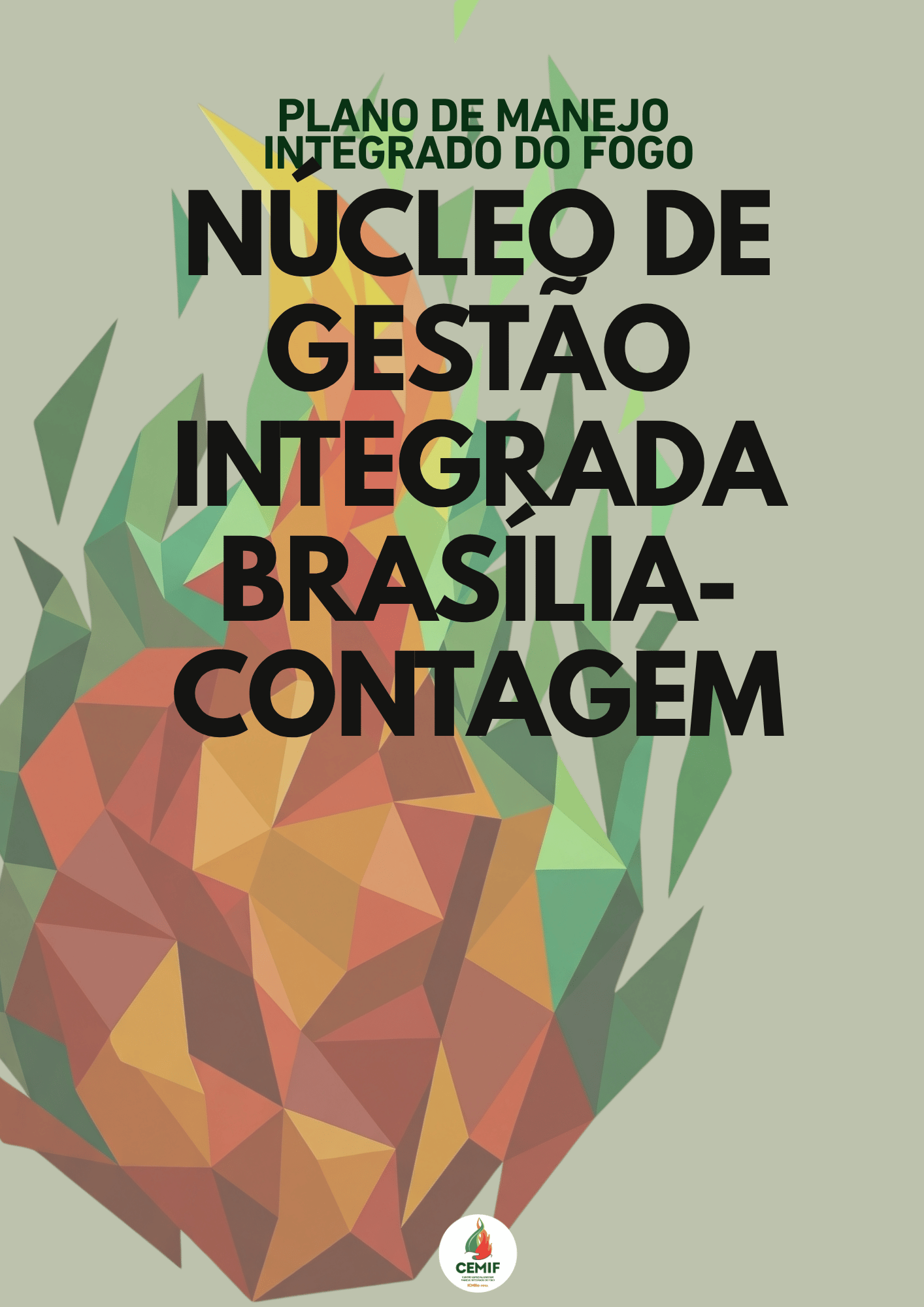 PMIF_NGI_BrasiliaContagem