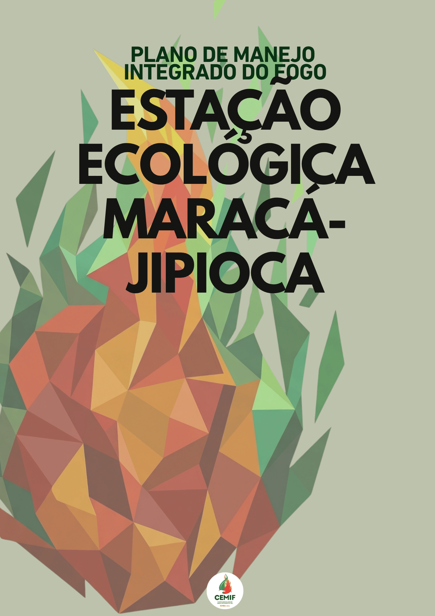 PMIF_Esec_MaracaJipioca