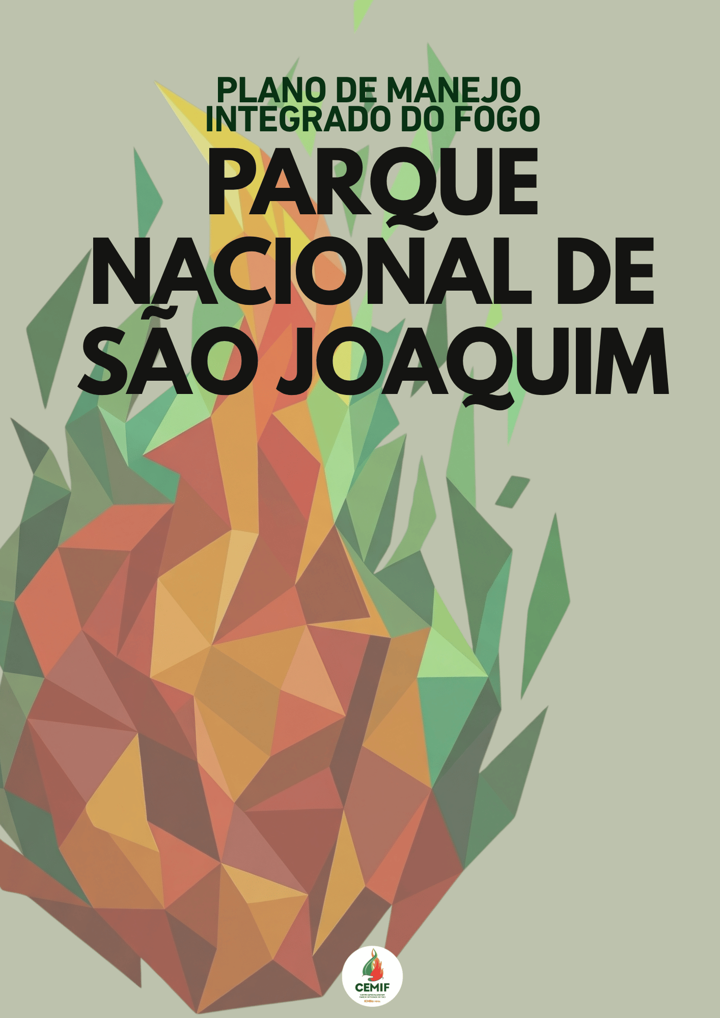 PMIF_Parna_SaoJoaquim