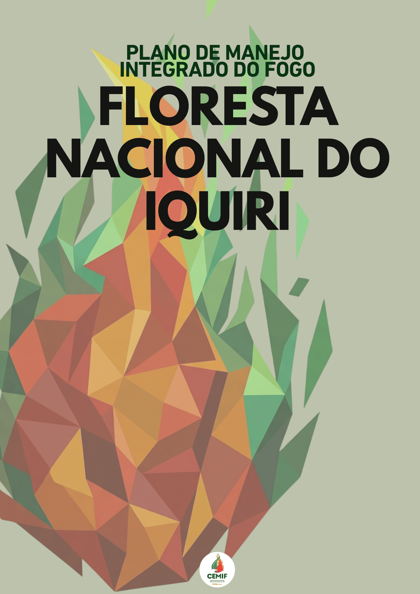 PMIF_Flona_Iquiri