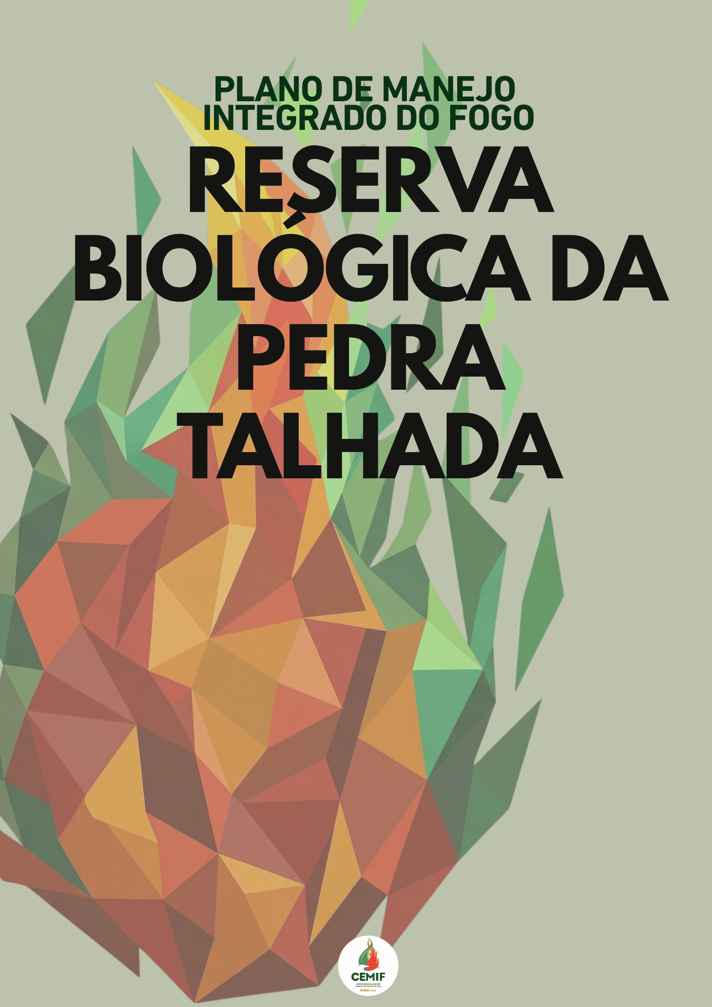 PMIF_Rebio_PedraTalhada