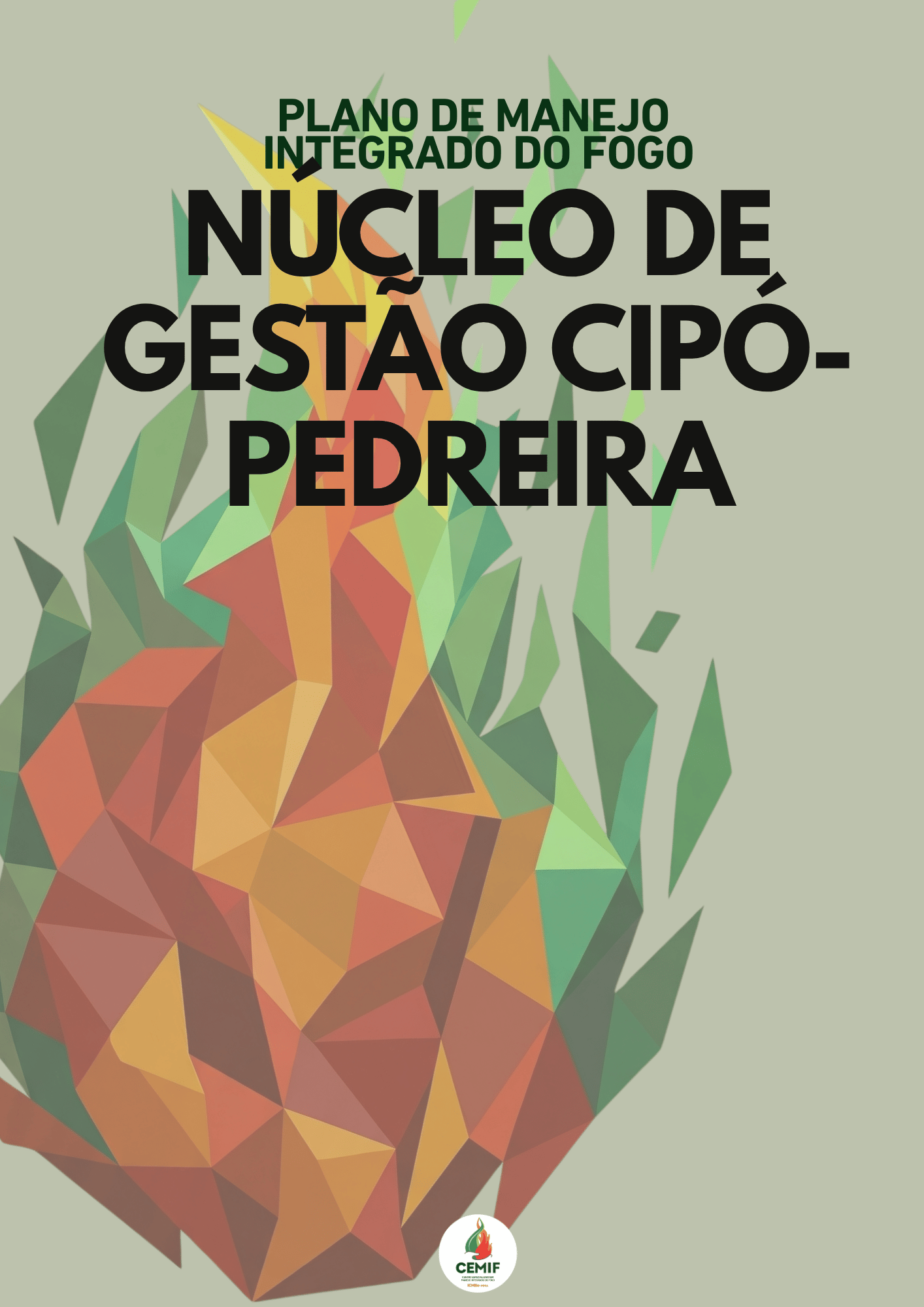 PMIF_NGI_CipoPedreira