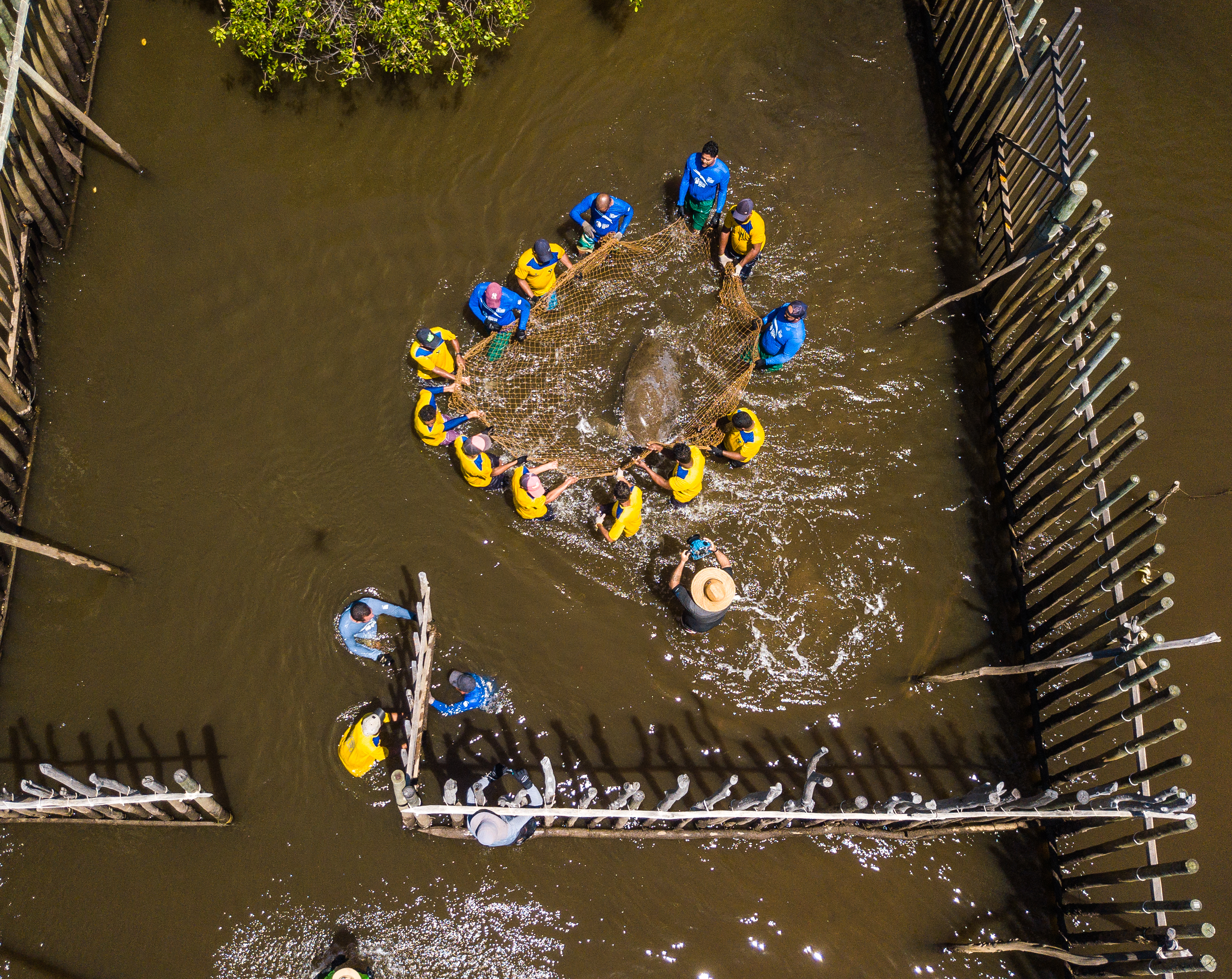 Foto: Quel Marchiori