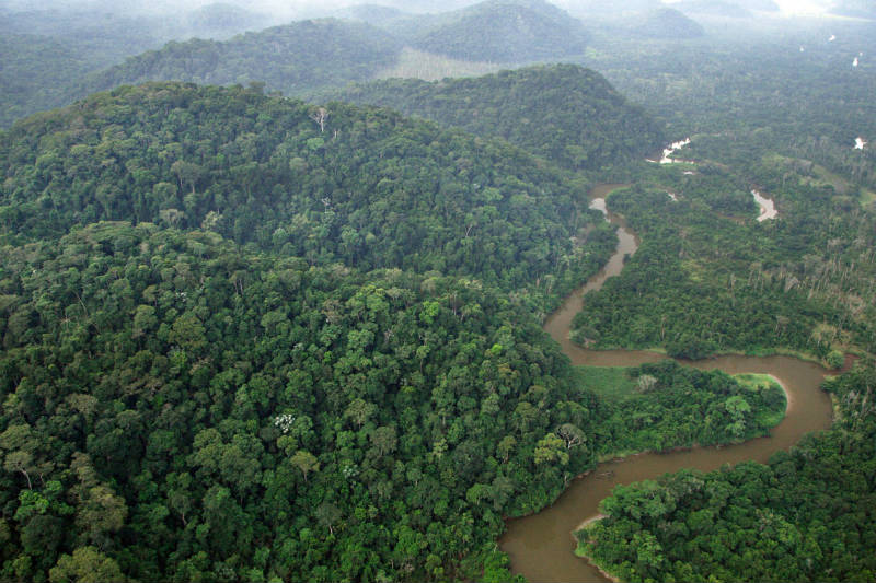 rebio poço das antas rio são joão meghan murphy