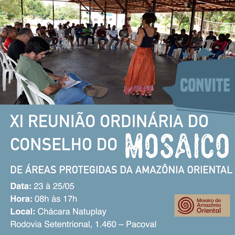 reunião do conselho consultivo